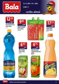 ČEPOS leták Strana 11