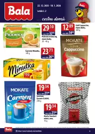 ČEPOS leták Strana 6