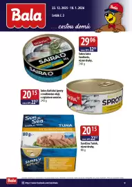 ČEPOS leták Strana 9