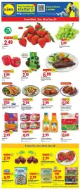 Lidl weekly ad week 3 Page 1
