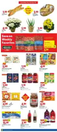 Lidl weekly ad week 3 Page 2