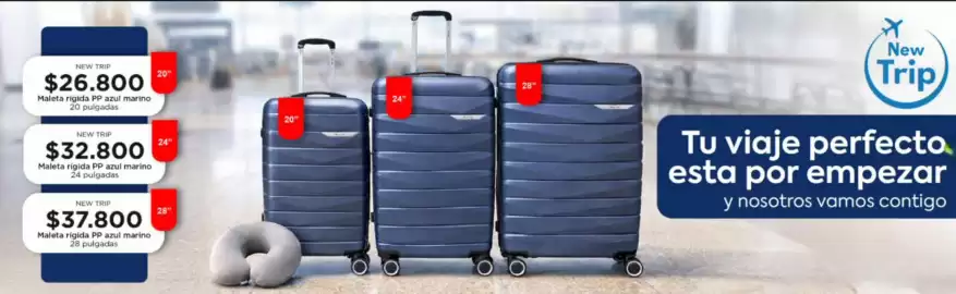 Catálogo Sánchez & Sánchez Página 3