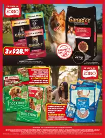 Catálogo Zorro Página 6