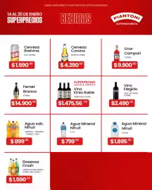 Catálogo Piantoni Supermayorista semana 3 Página 3