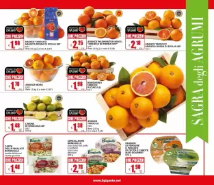 Volantino Il Gigante Pagina 11