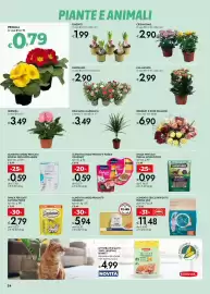 Volantino Bennet Pagina 24