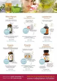 De Rode Pilaren folder Pagina 5