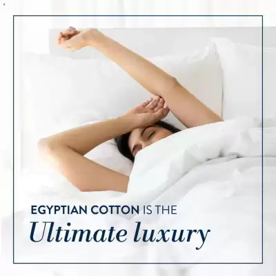 Volpes catalogue (valid until 20-01)