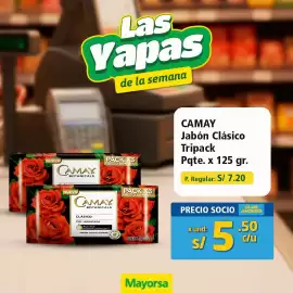 Catálogo Mayorsa Página 3