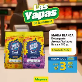 Catálogo Mayorsa Página 4