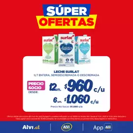 Catálogo Alvi Página 3