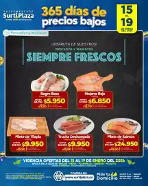 Catálogo Supermercados Surtiplaza Página 3