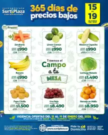 Catálogo Supermercados Surtiplaza Página 4