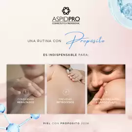 Catálogo AspidPro Página 3