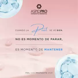 Catálogo AspidPro Página 4