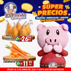 Folleto El Florido Página 1