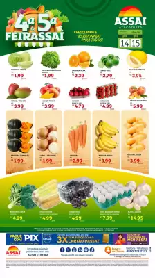 Encarte Assaí Atacadista (válido até 15-01)