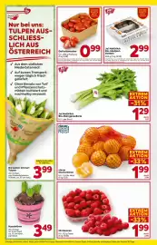 Billa Flugblatt woche 3 Seite 8