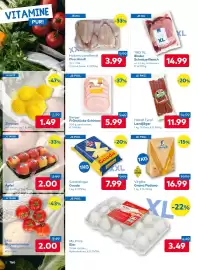 T&G Flugblatt Seite 2