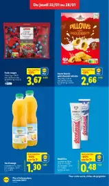 Catalogue Lidl semaine 4 page 12