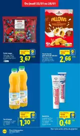 Catalogue Lidl semaine 4 page 12