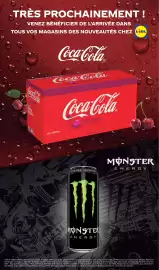 Catalogue Lidl semaine 4 page 27