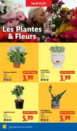 Catalogue Lidl semaine 4 page 28