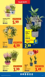 Catalogue Lidl semaine 4 page 29