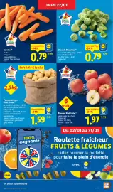 Catalogue Lidl semaine 4 page 3