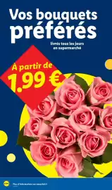 Catalogue Lidl semaine 4 page 30