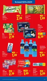 Volantino Lidl settimana 4 Pagina 13
