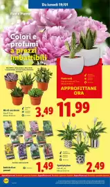 Volantino Lidl settimana 4 Pagina 38