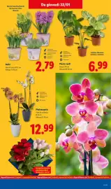 Volantino Lidl settimana 4 Pagina 39