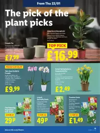 Lidl leaflet week 4 Page 23