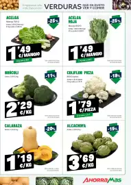 Folleto AhorraMas semana 3 Página 9