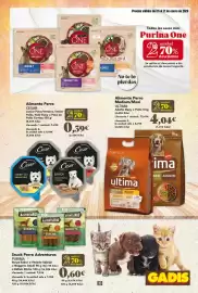 Folleto Gadis semana 3 Página 33