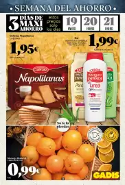 Folleto Gadis semana 3 Página 9