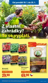 Lidl leták Strana 31