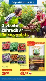 Lidl leták Strana 31