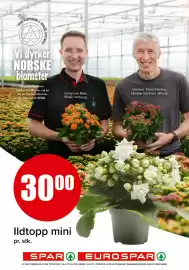 Spar kundeavis Side 21