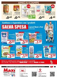 Volantino Maxi Family Pagina 8