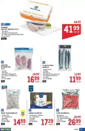 Metro Flugblatt Seite 19