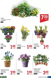 Metro Flugblatt Seite 59