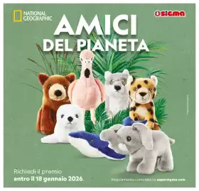 Volantino Sigma Superstore Pagina 14