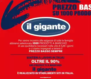 Volantino Il Gigante Pagina 2