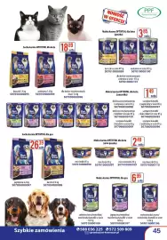 AT gazetka Strona 45