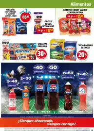 Folleto Farmacias Guadalajara Página 15