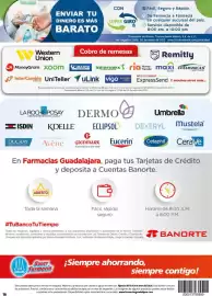 Folleto Farmacias Guadalajara Página 16