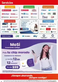 Folleto Farmacias Guadalajara Página 4