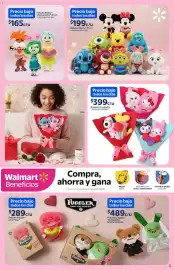 Folleto Walmart Página 5